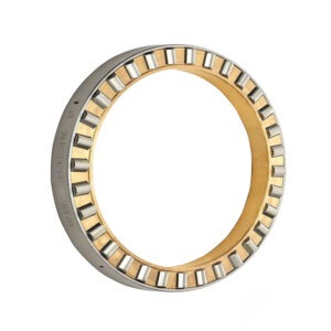 Axial Cylindrical Roller And Cage Assembly