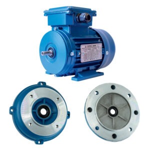 Electric Motors & Flanges