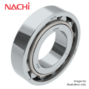 N311/C3 Nachi Cylindrical Roller Bearings (55x120x29)