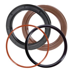 O-Rings & Oil Seals